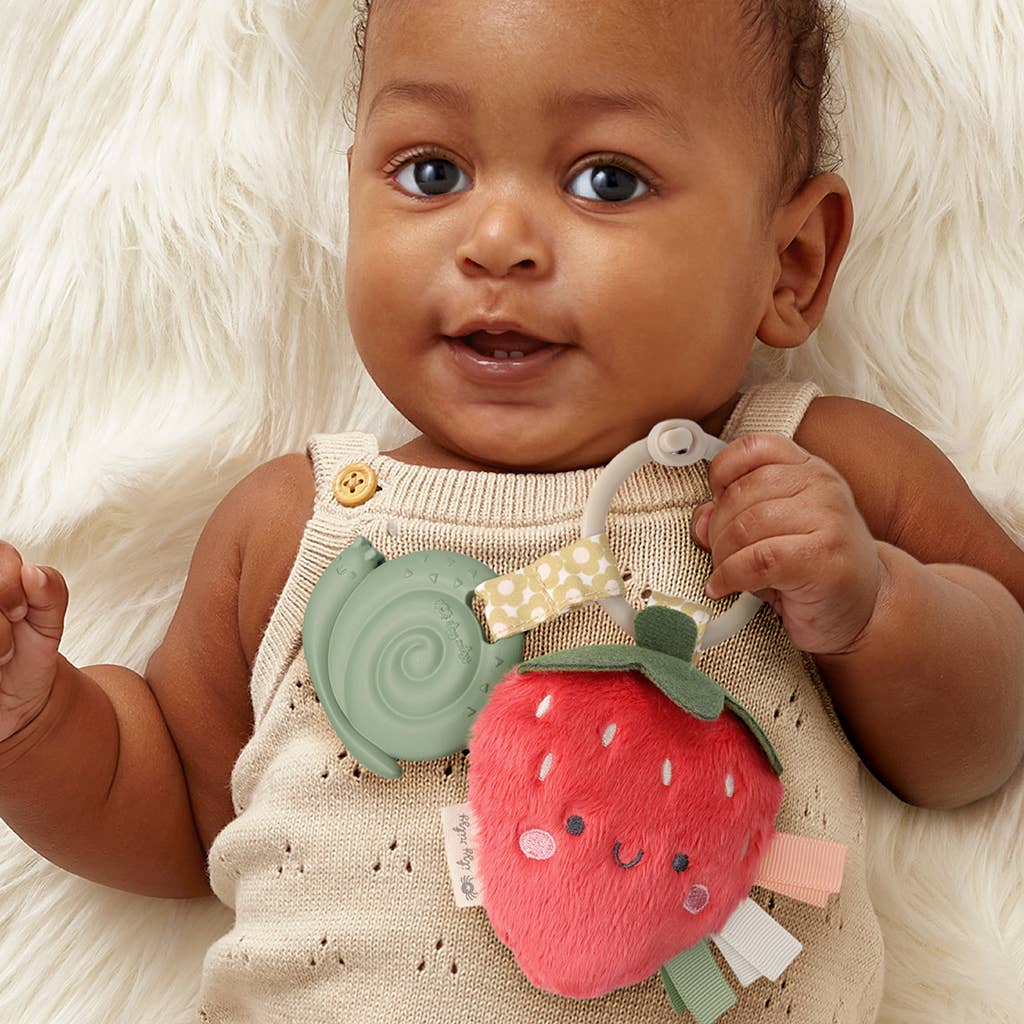 Itzy Ritzy - *New Options* Itzy Pal™ Plush + Teether