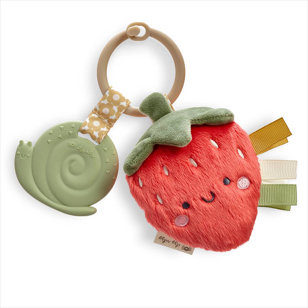 Itzy Ritzy - *New Options* Itzy Pal™ Plush + Teether