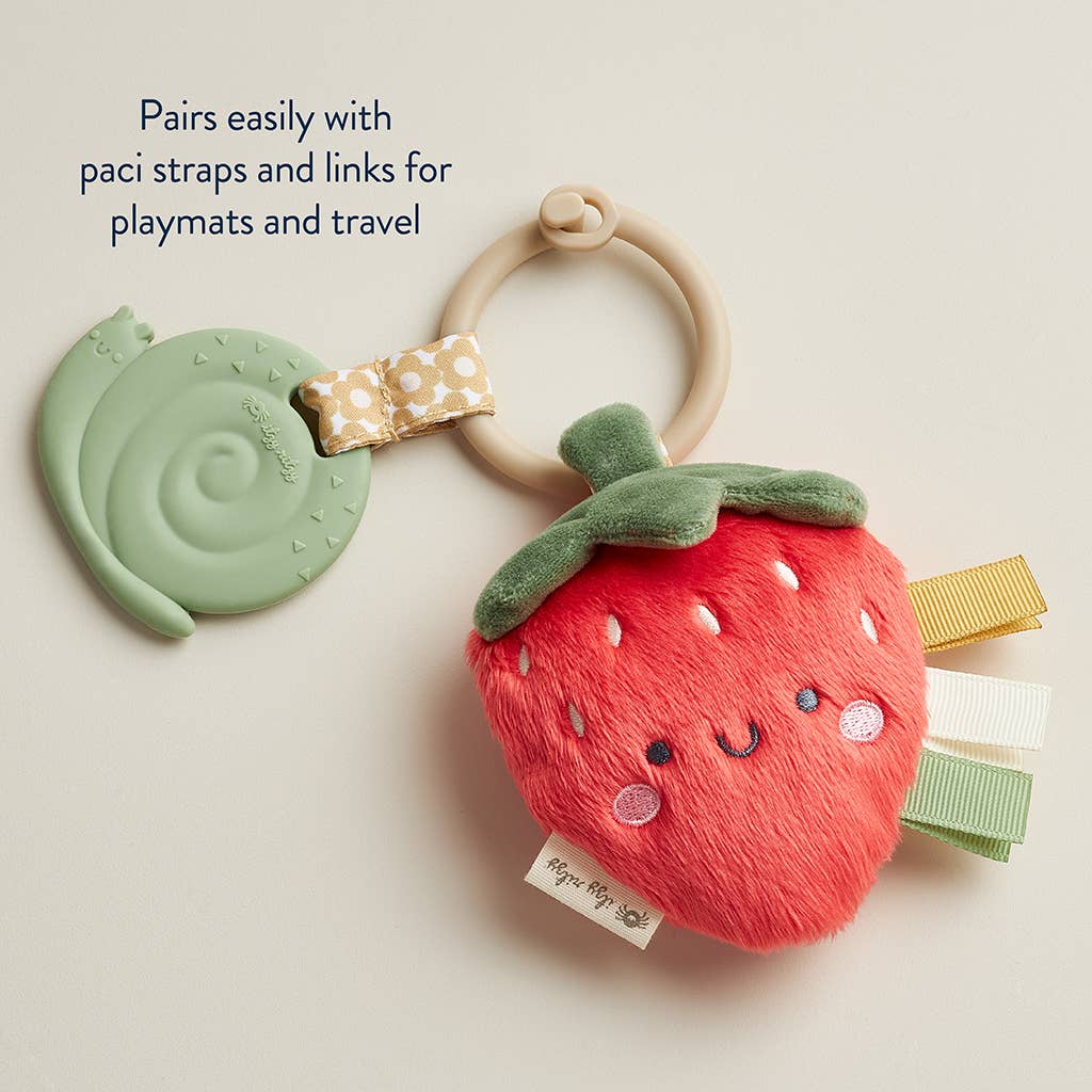Itzy Ritzy - *New Options* Itzy Pal™ Plush + Teether
