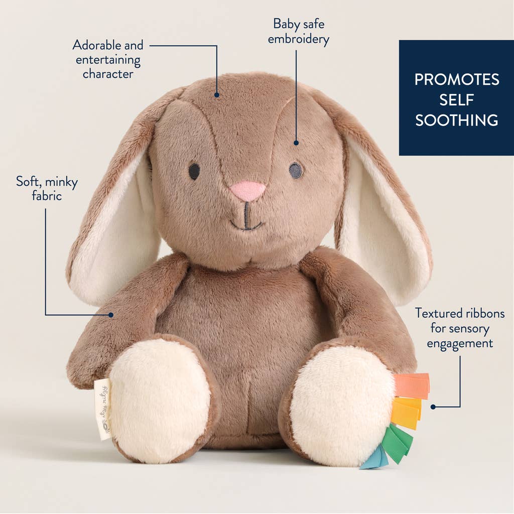 Itzy Ritzy - *NEW* Sweetie Snuggles™ Plush