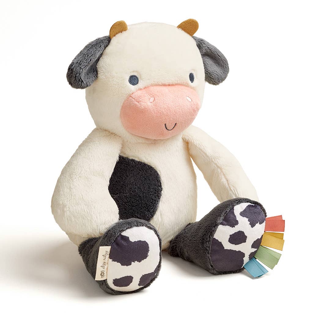 Itzy Ritzy - *NEW* Sweetie Snuggles™ Plush