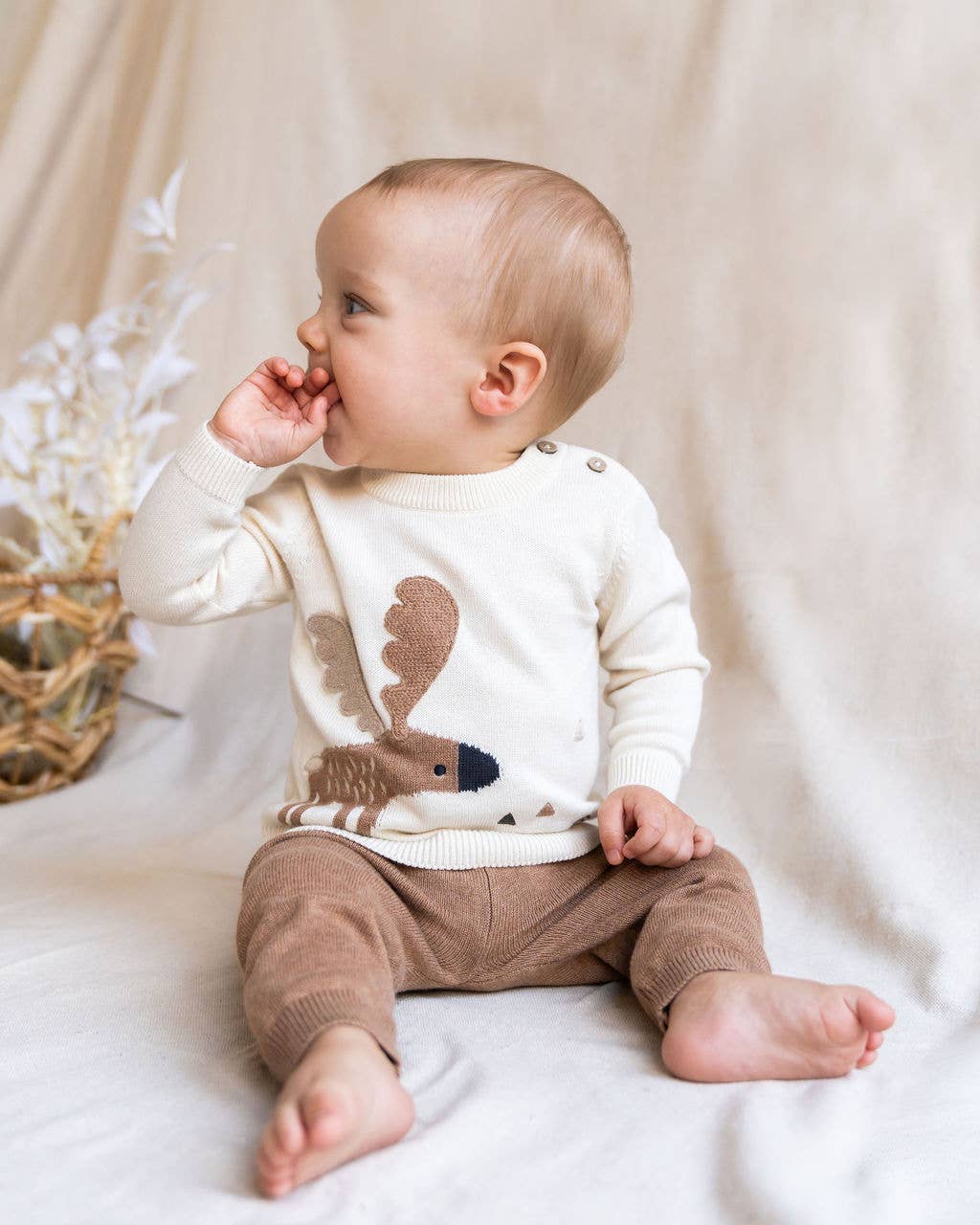 Viverano Organics - Moose Jacquard Knit Baby Pullover Sweater (Organic Cotton)