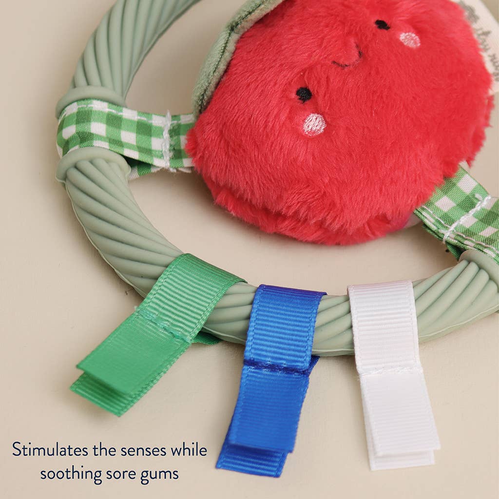 Itzy Ritzy - *NEW* Itzy Ring Pal™ - Teething Ring with Plush Character