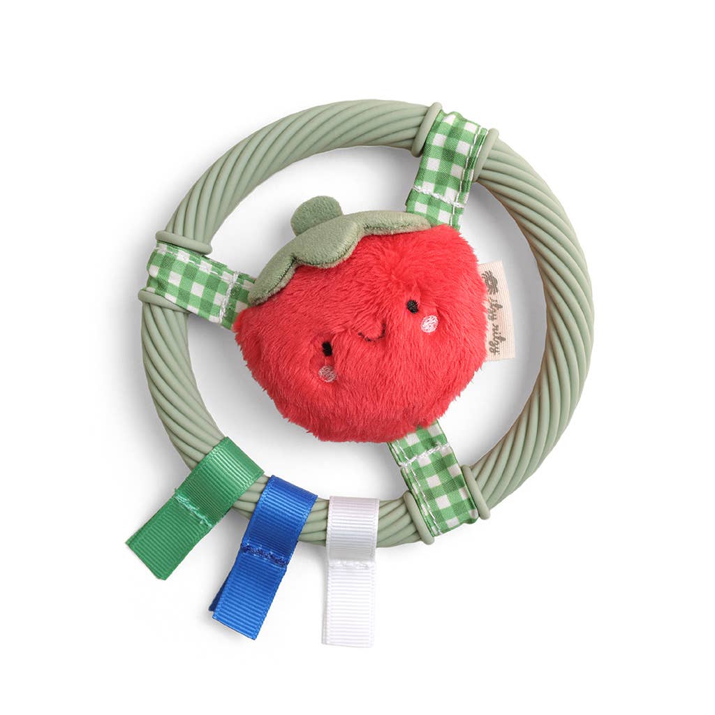 Itzy Ritzy - *NEW* Itzy Ring Pal™ - Teething Ring with Plush Character