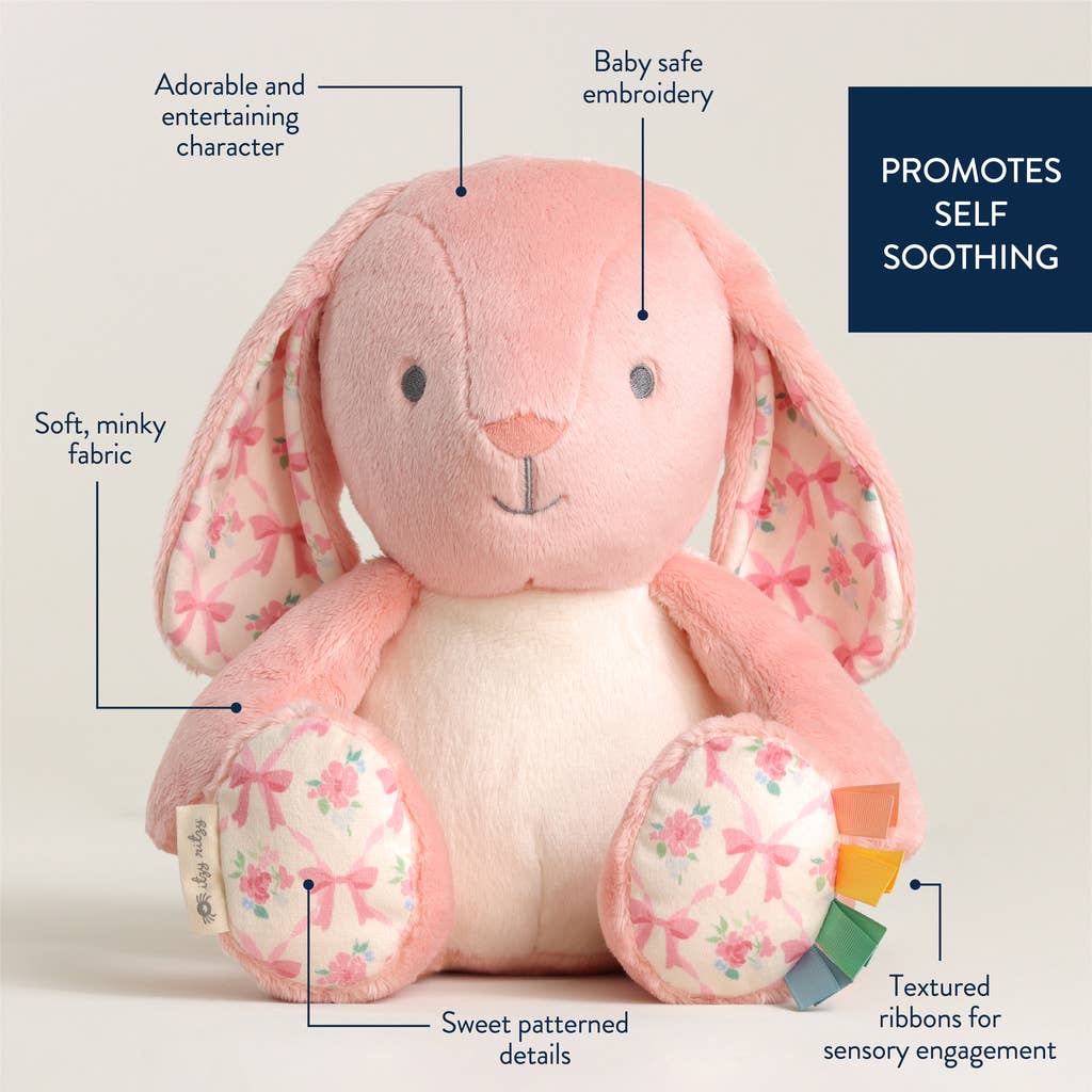 Itzy Ritzy - *NEW* Sweetie Snuggles™ Plush