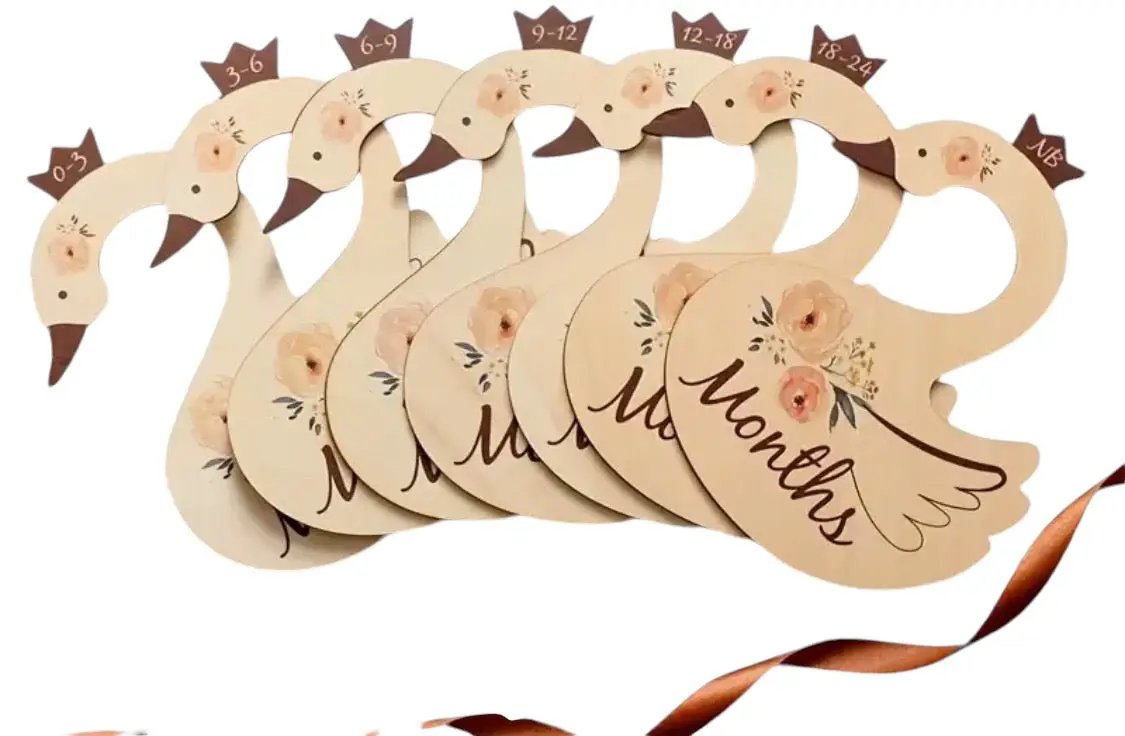 Swan Closet Dividers for Baby by Max and Pippa