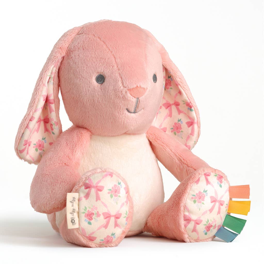Itzy Ritzy - *NEW* Sweetie Snuggles™ Plush
