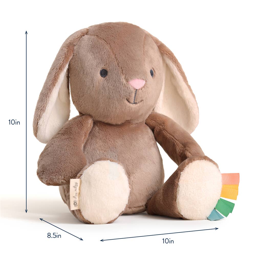 Itzy Ritzy - *NEW* Sweetie Snuggles™ Plush