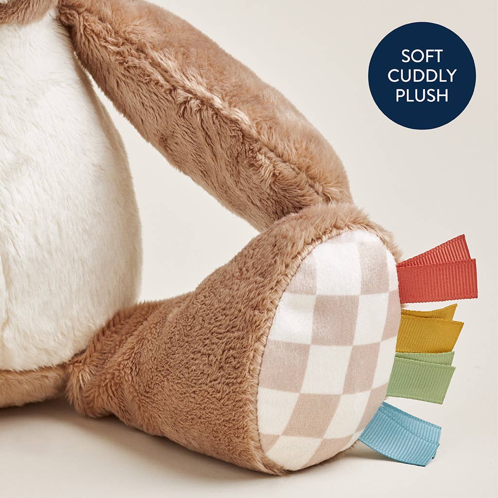 Itzy Ritzy - *NEW* Sweetie Snuggles™ Plush