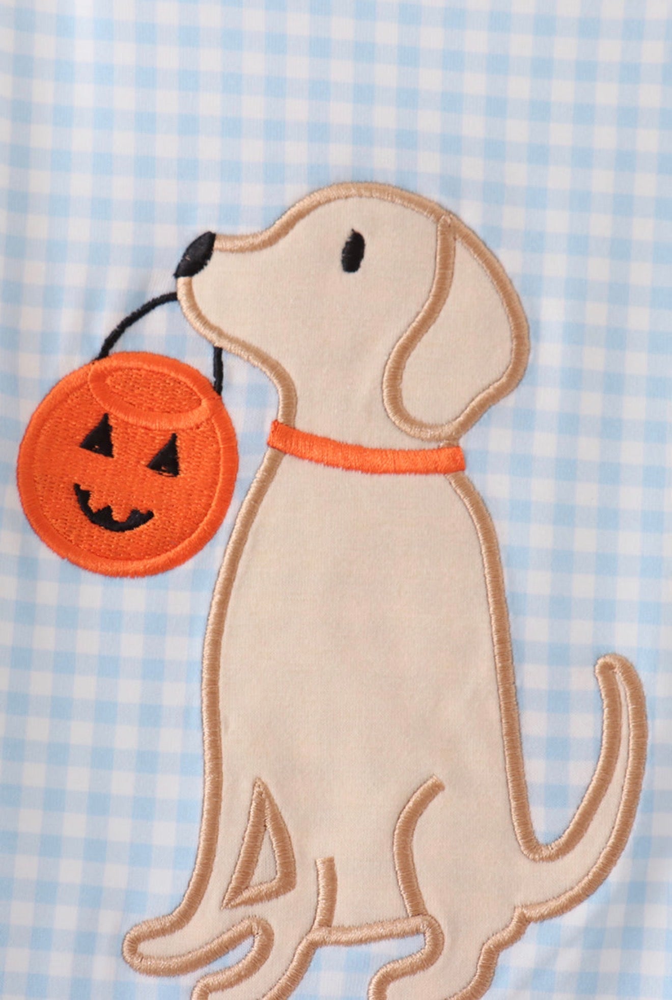 Abby & Evie | Puppy Pumpkin Jon Jon