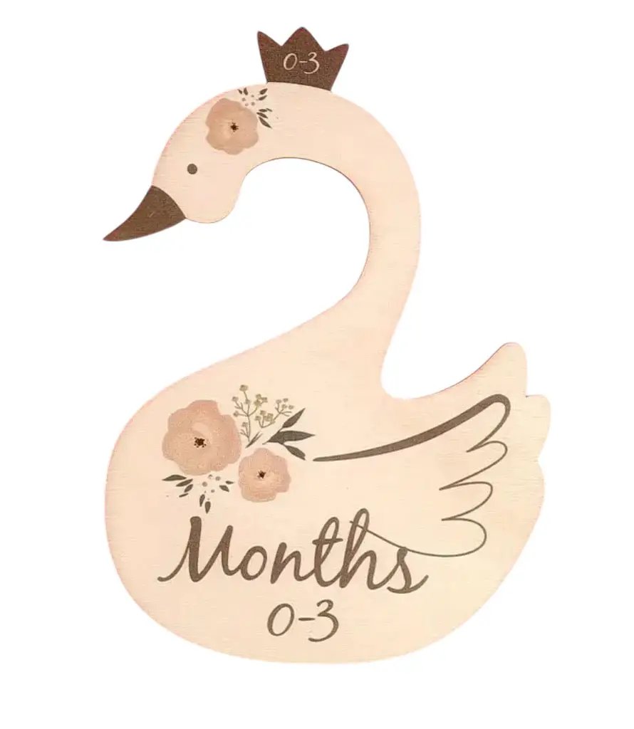 Swan Closet Dividers for Baby by Max and Pippa