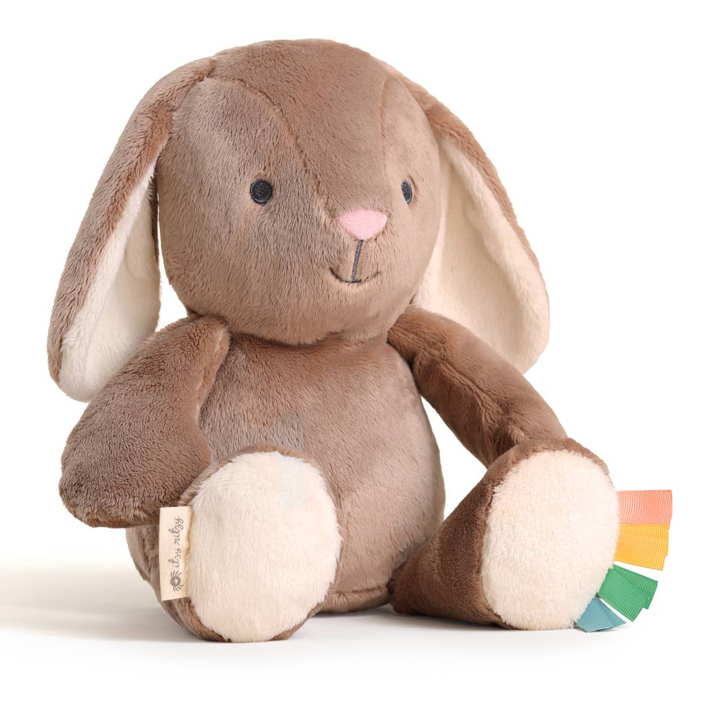 Itzy Ritzy - *NEW* Sweetie Snuggles™ Plush