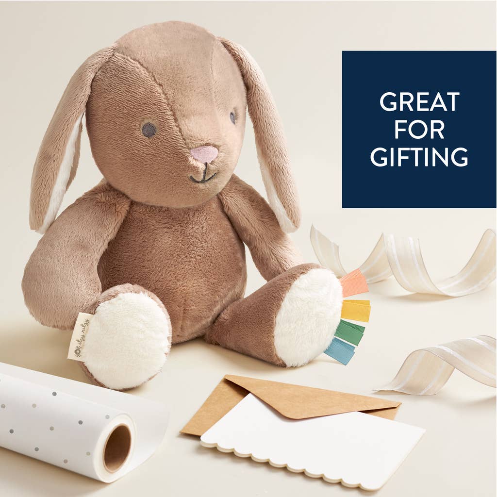 Itzy Ritzy - *NEW* Sweetie Snuggles™ Plush