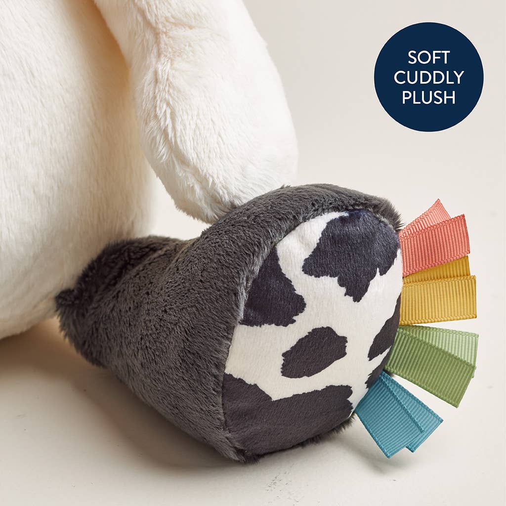 Itzy Ritzy - *NEW* Sweetie Snuggles™ Plush